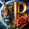 mohsmed.benshila