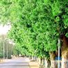 abdalbagy.mohamma
