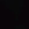 niss_1114