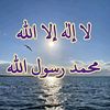 user951155062367