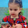 hiba_rind1