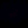 samvel.gevorgyan01