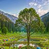 discoverkumratvalley1