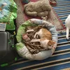 🐈أم القطط 🐈