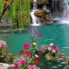 user8120587075281