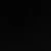 wiwo_31