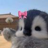 sofia_yaquelin12
