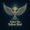 Follow The Yellow Bird