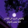 x_ib84