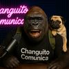 changuitocomunica