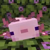 lyan.exe