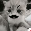 maix_134x