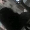 _samy.elizabeth