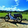 astrea649
