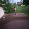 destinylester6