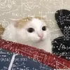 thinh.nguyen162