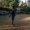 arsaalphalendra