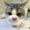 taniaaa742