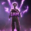 liamthewarrior11