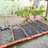 MINI GARDEN
