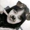 regina_126000