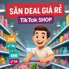 sandealgiare41