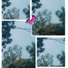muskan.sheikh864