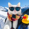 meowhouse817