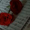 user472220963