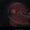ali.sjh8