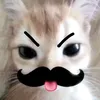 tieuzyy05