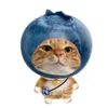 cai_givaytroi2