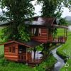 rumah.pohon123