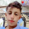user229613060520