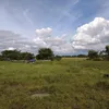 kupallinmo