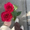 gulli_xan04
