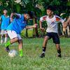 marsy_6