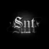 _sntteam_