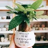 vinh.phng953