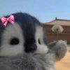 xyz_liaaa43