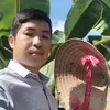 binh.longan62