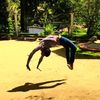 _flip_akiya_