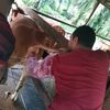 aj.pengembala