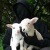 kenenisa.abdisa0