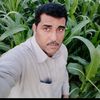 user8787030911876