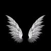 user8304363253066