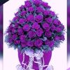 user90126633107986