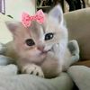 kiya.izkia6