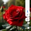 muhammad.nadeem07958
