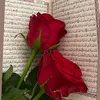 zana_t12
